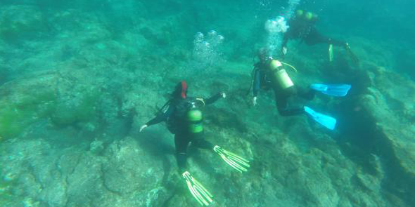 Central Sub Scuba Diving & Boat trips